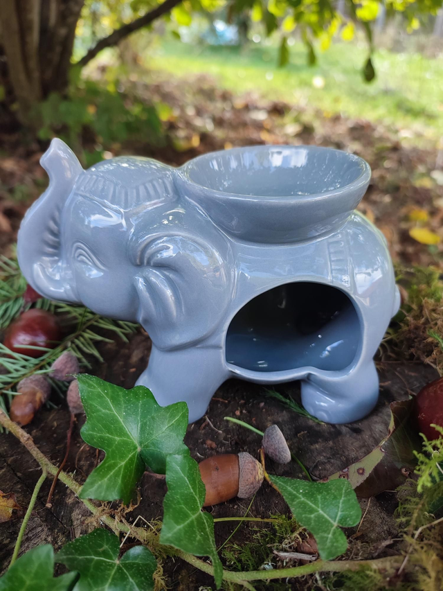 TANDOR l'éléphant gris