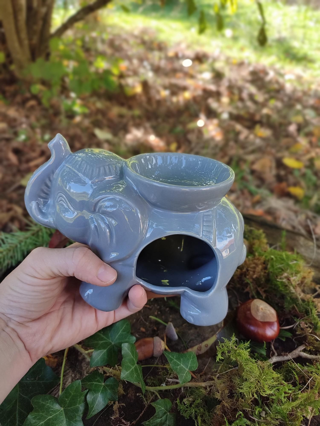TANDOR l'éléphant gris