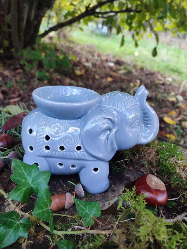 TANDOR l'éléphant gris