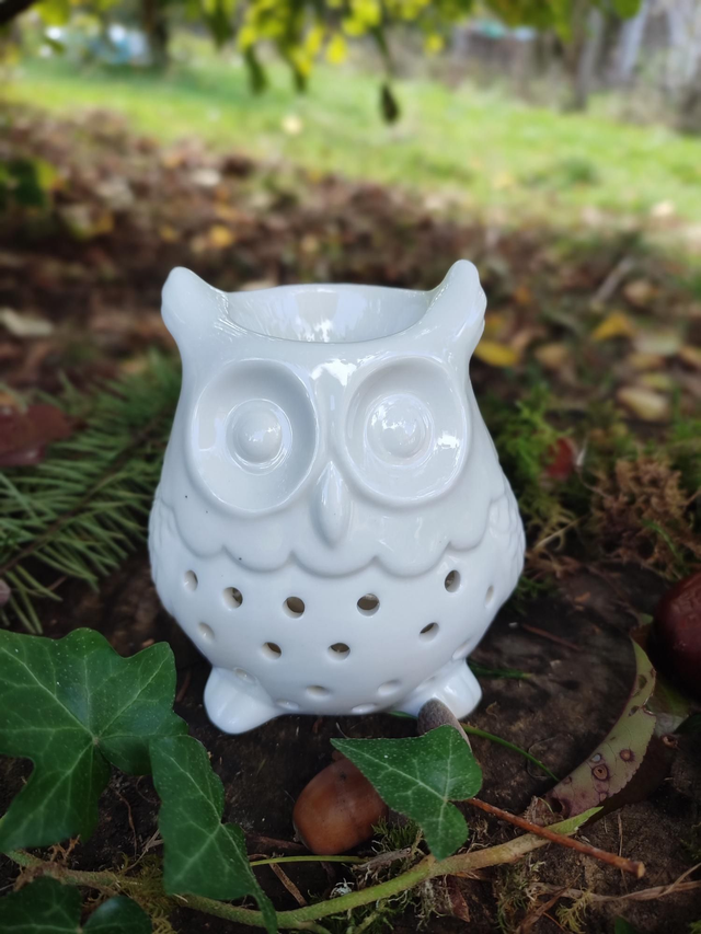 CHOUCHOU le hibou