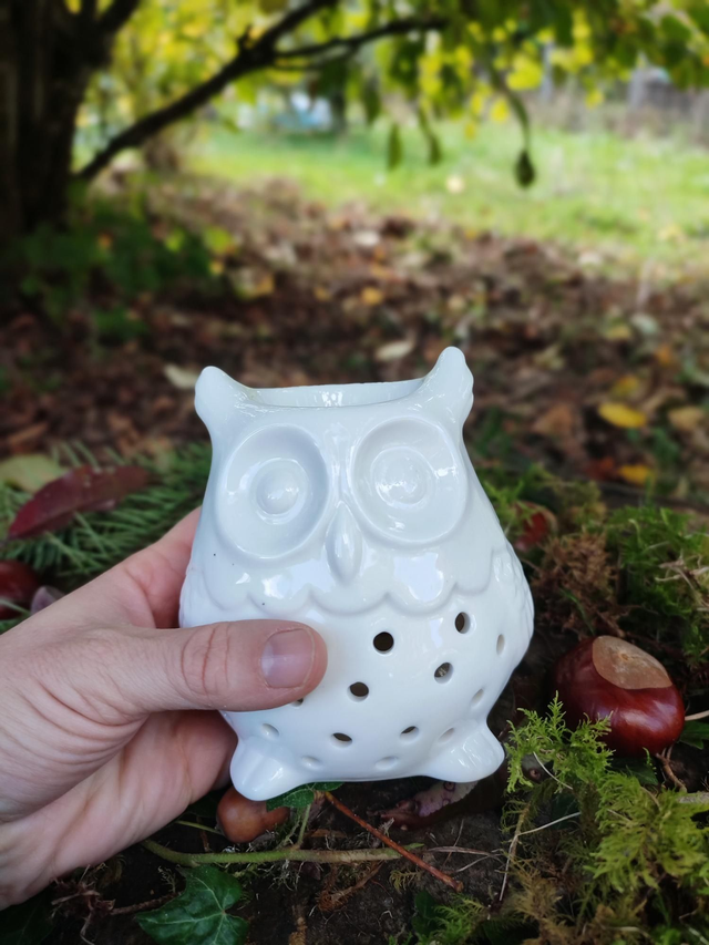 CHOUCHOU le hibou