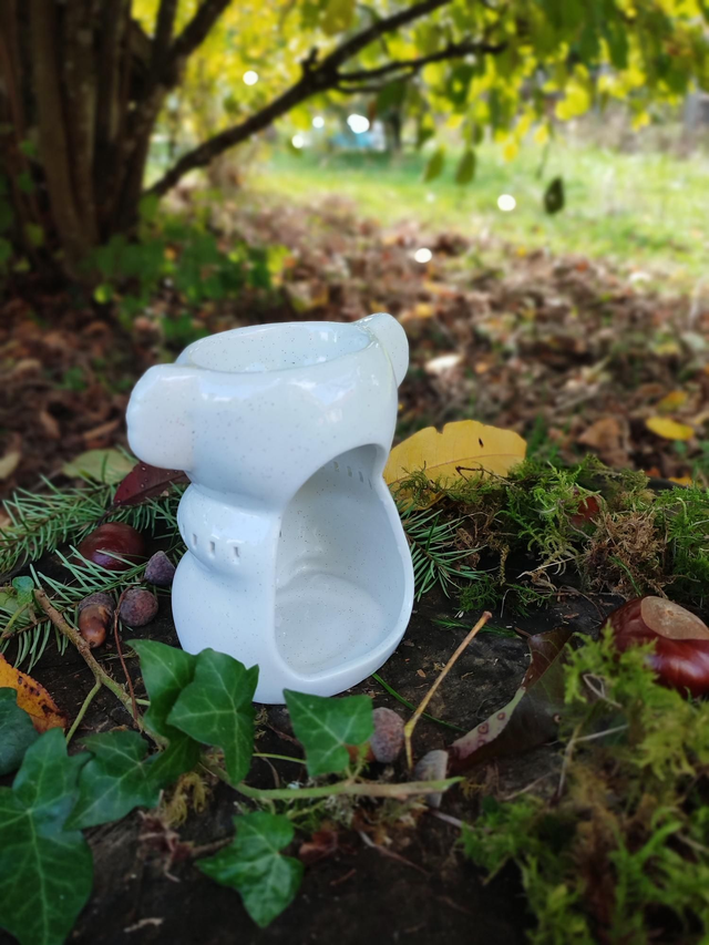 KOKO le koala