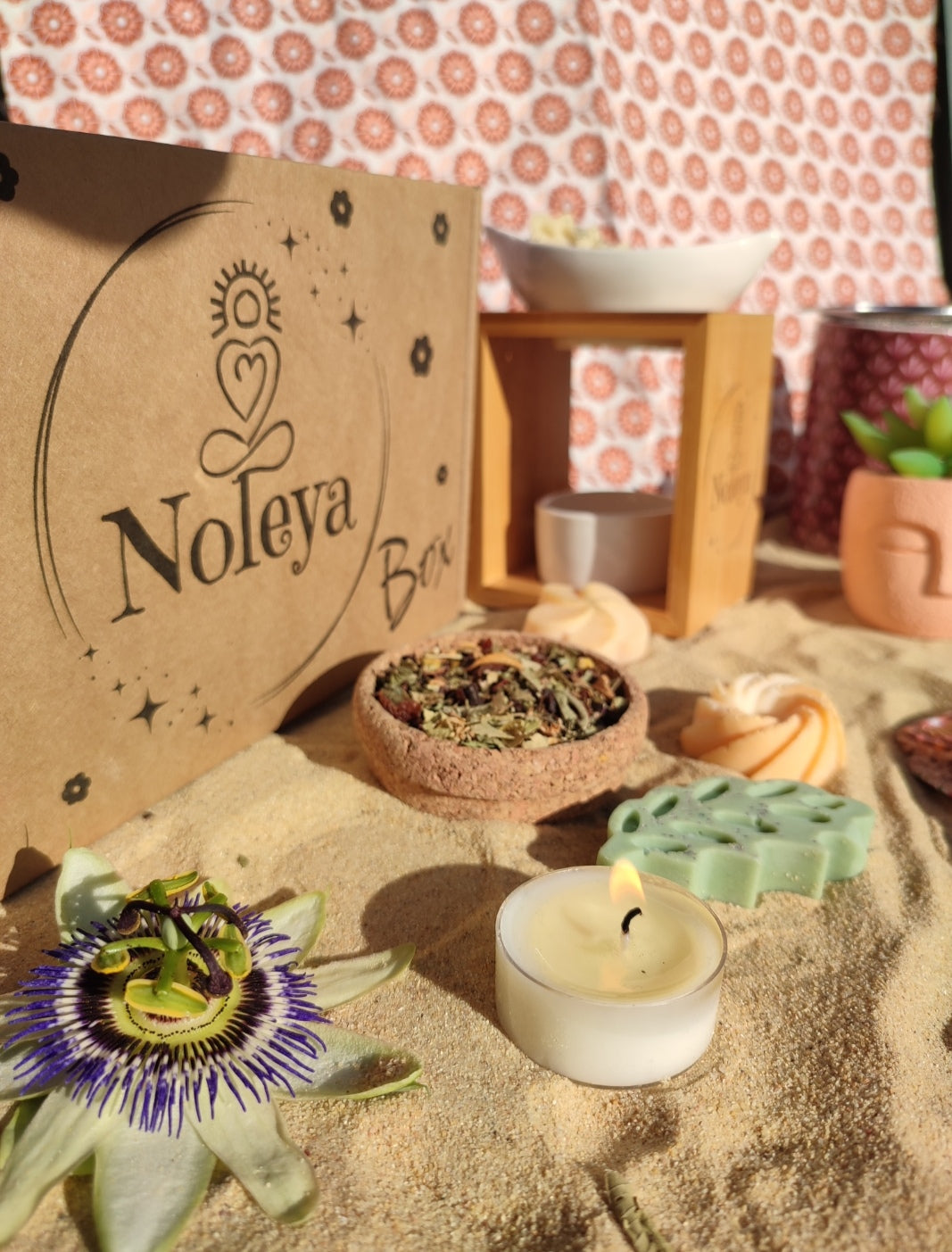 NOLEYA BOX