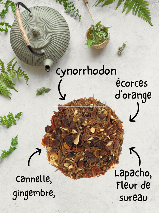 Infusion Elixir d'hiver