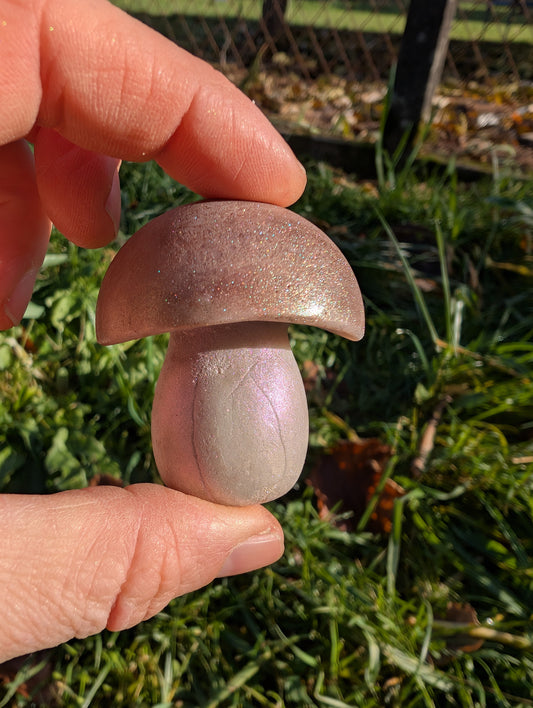 Fondant Ballade en forêt