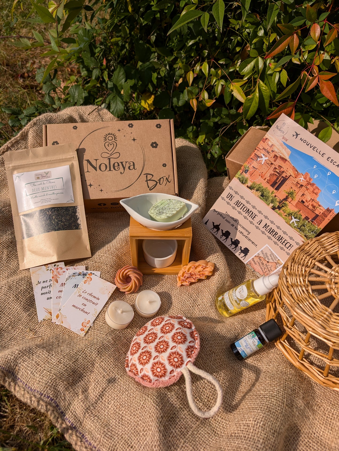 NOLEYA BOX